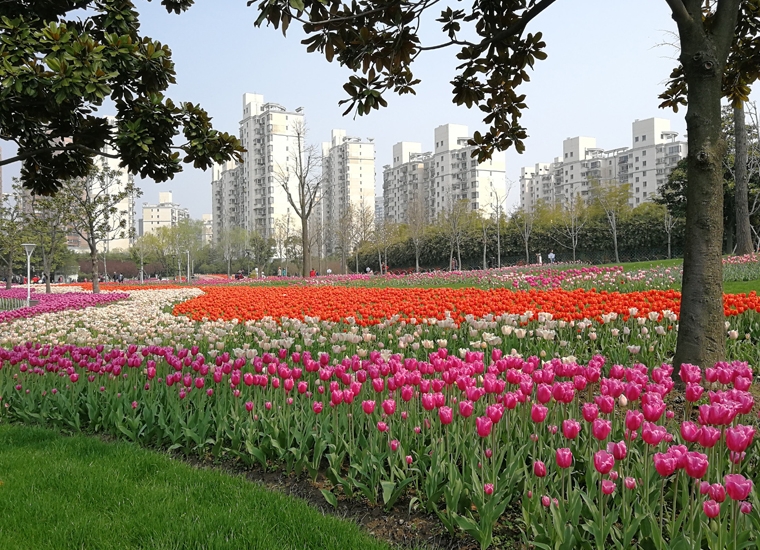 山西省大寧縣應(yīng)急廣播系統(tǒng)建設(shè)項(xiàng)目